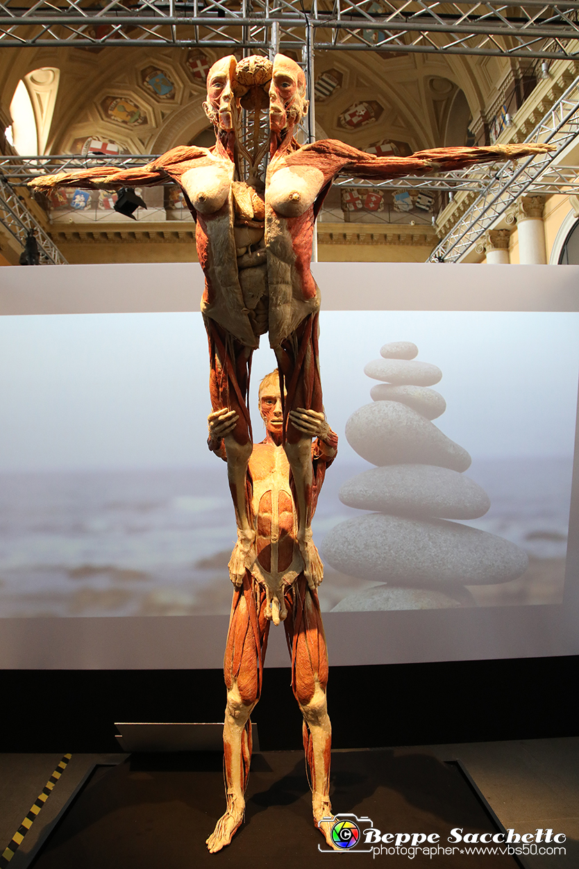 VBS_2679 - Mostra Body Worlds.jpg